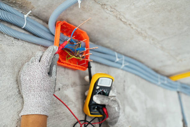 Best Affordable Electrician  in Swisher, IA